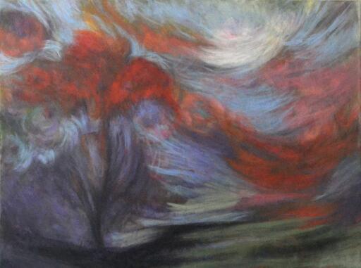 Windy Day